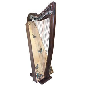 Rees Morgan Meghan Harp (27 strings)